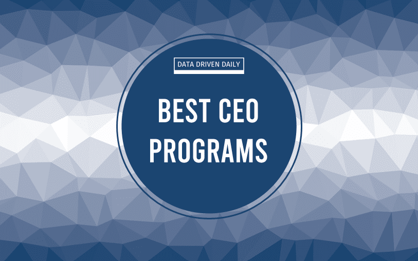 Best CEO Training Program