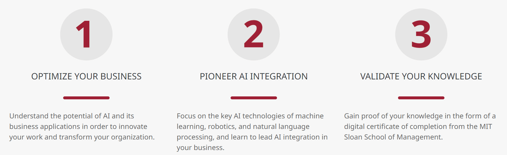 Mit ai program review implications for business strategy april 2025 